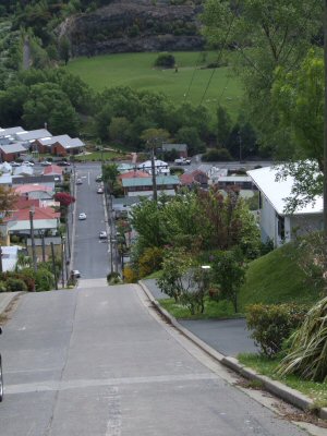 Baldwin Street ... the Steepest Street in the World!